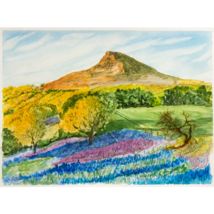 Blue Bells under Roseberry A4 Watercolour