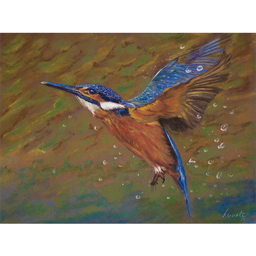 Kingfisher