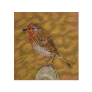 robin-updated